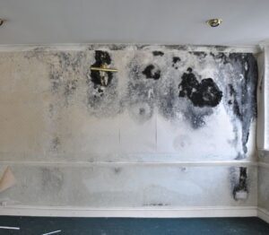 Mould