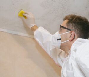 mOULD rEMOVAL