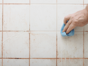 Bathroom Moulds