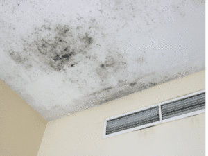 Mould