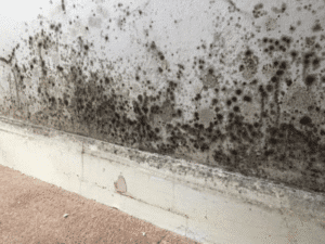 Mould