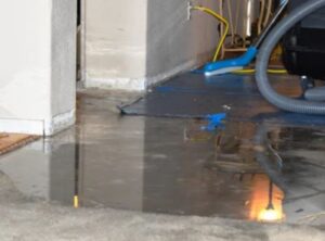 Water disaster cleanup