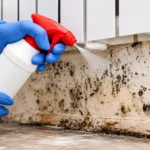 DIY black mould removal