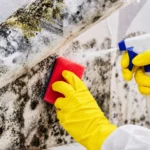 Urgent mould removal